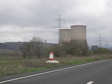 Image of Mintia