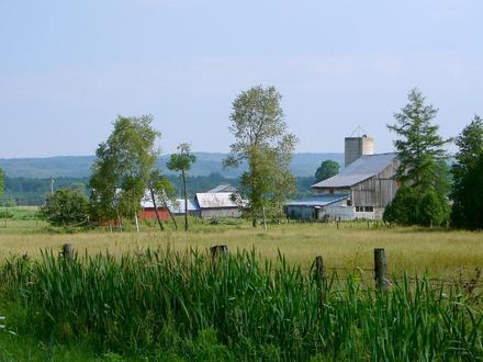 Image of Oro-Medonte Image of Oro-Medonte