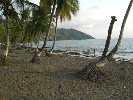 Image de Les Irois