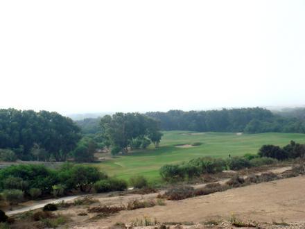Image of Diabat