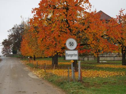 Bild von Bangerten