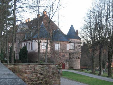 Obrázok Birkenwald