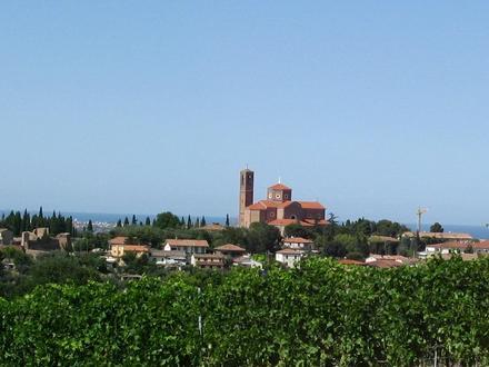 Immagine Coriano Immagine Coriano