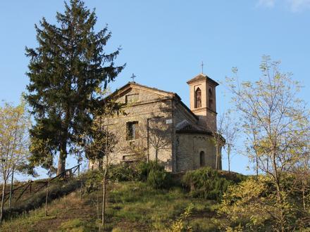 Immagine Calamandrana