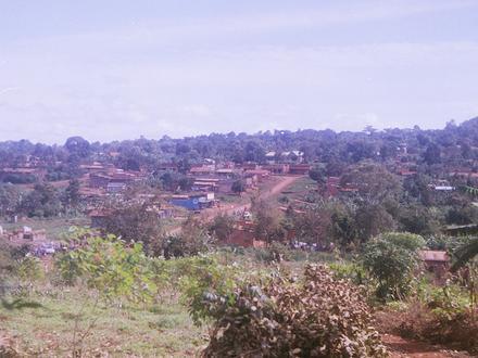 Image of Buikwe Image of Buikwe