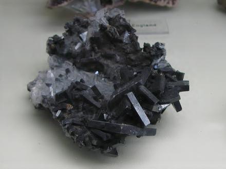 Bild von Trepča