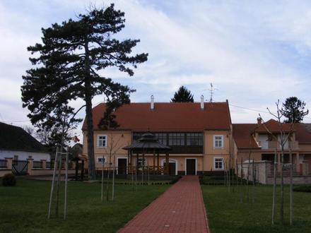 Slika Dalj