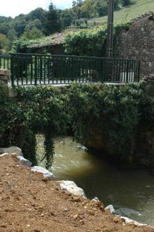 Image of Urepel Image of Urepel