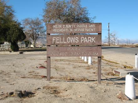 Imagen de Fellows