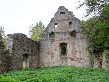Immagine Schollbrunn Immagine Schollbrunn