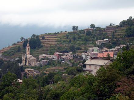 Image of Orero Image of Orero