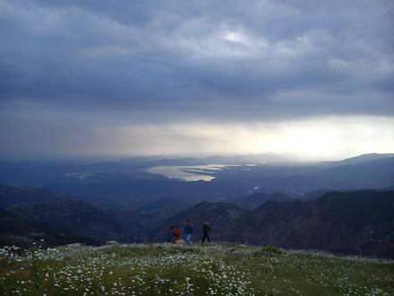 Immagine Dalhousie