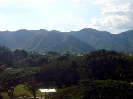 Bild von El Limón
