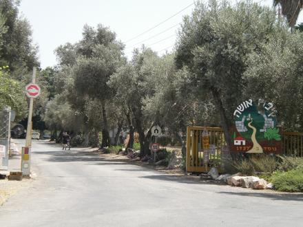 Image de Usha