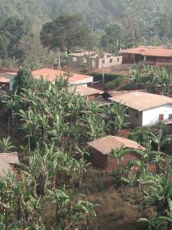Image of Bana, Cameroon