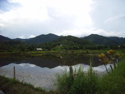 Image of Bario Image of Bario
