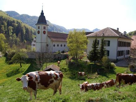 Bild von Beinwil SO
