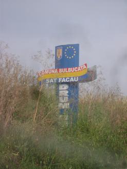 Image of Bulbucata Image of Bulbucata