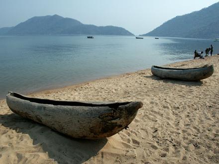 Billede af Monkey Bay