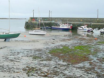 Image of Barna Image of Barna