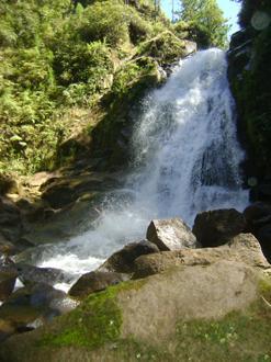 Imagen de Calobre