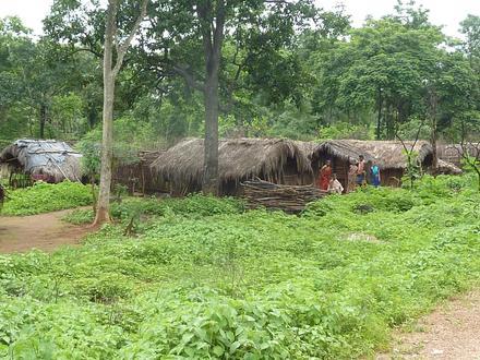 Image of Chintoor