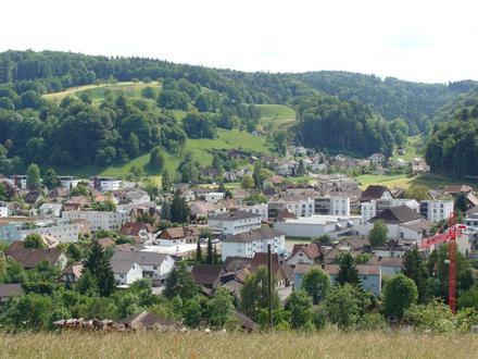 Bild von Gränichen