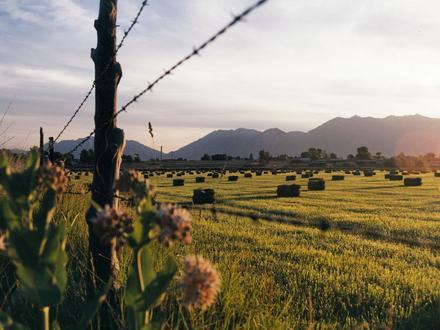 Image of Salem, Utah