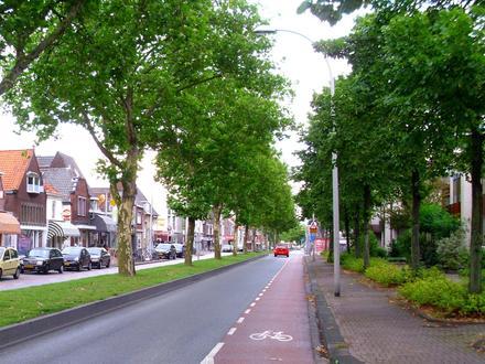 Afbeelding van Pijnacker Afbeelding van Pijnacker
