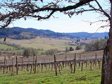 Image of Lorane, Oregon Image of Lorane, Oregon