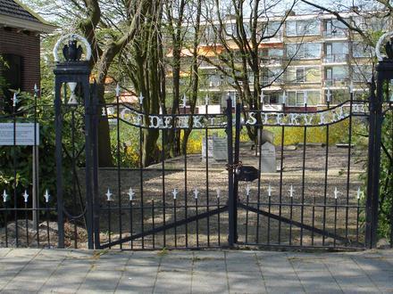Afbeelding van Schiebroek Afbeelding van Schiebroek