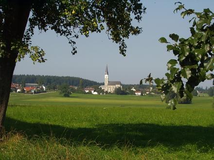 Immagine Haigermoos Immagine Haigermoos