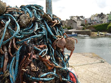 Bild von Roundstone