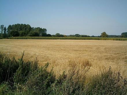 Bild von Hatten