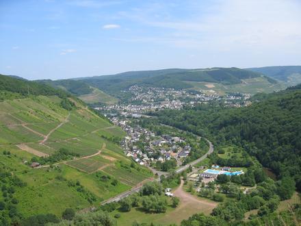 Alf Image