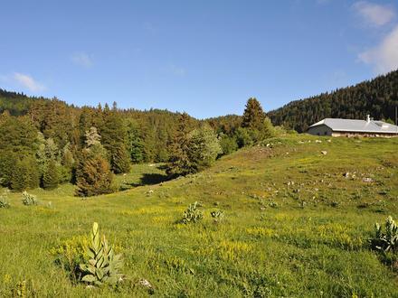 Bild von La Rippe
