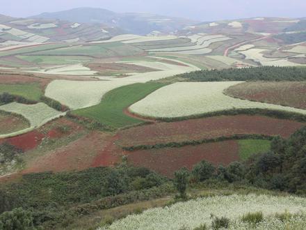 Bild von Dongchuan Bild von Dongchuan