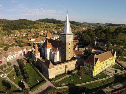 Muzsna képe