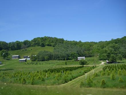 Image of Rush, Kentucky