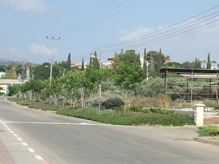 Image of Ahihud Image of Ahihud