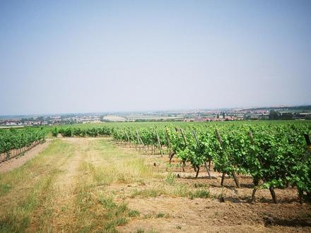 Image of Laumersheim Image of Laumersheim