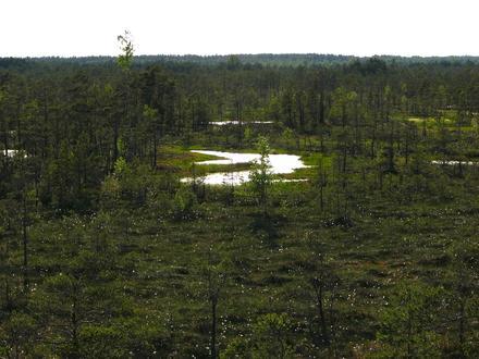 Image de Babīte