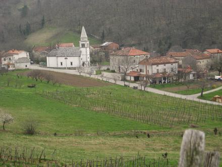 Slika Lozice Slika Lozice