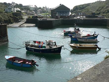 Immagine Porthgain Immagine Porthgain