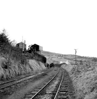 Imagen de Arigna