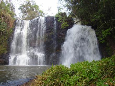 Imagen de Torrinha