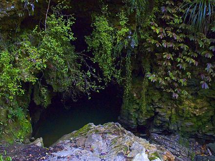 Immagine Waitomo Caves Immagine Waitomo Caves