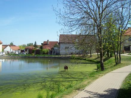 Image de Zličín Image de Zličín
