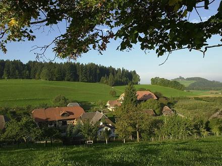 Bild von Englisberg