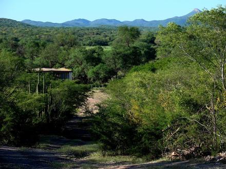 Image of Quiriego Image of Quiriego